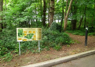 Listowel-Park-Gurtinard-Walk-Biodiversity