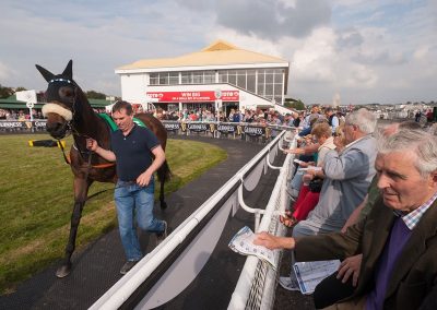 Listowel-Races-At-The-Parade-Ring